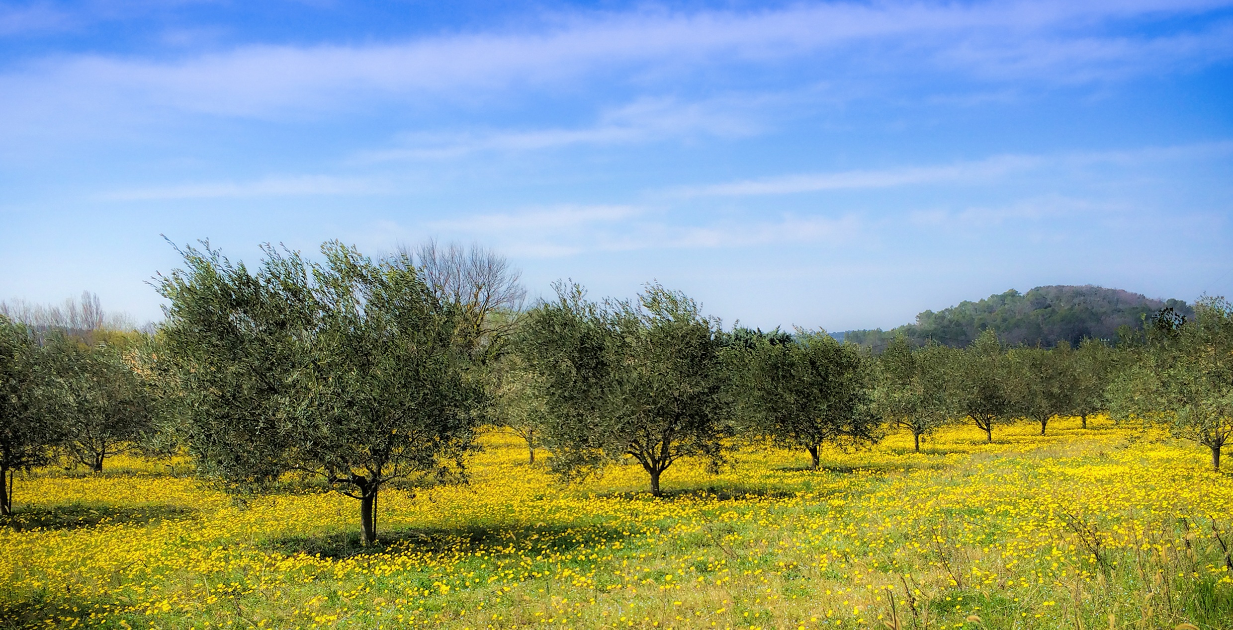 … della Natura !